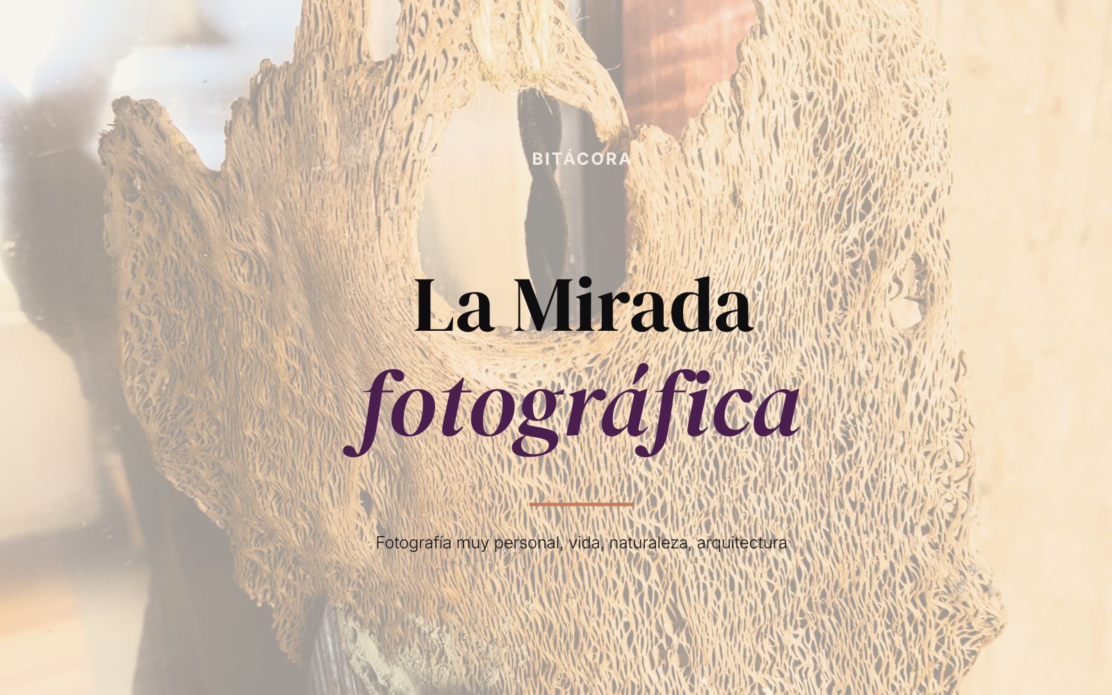 La Mirada